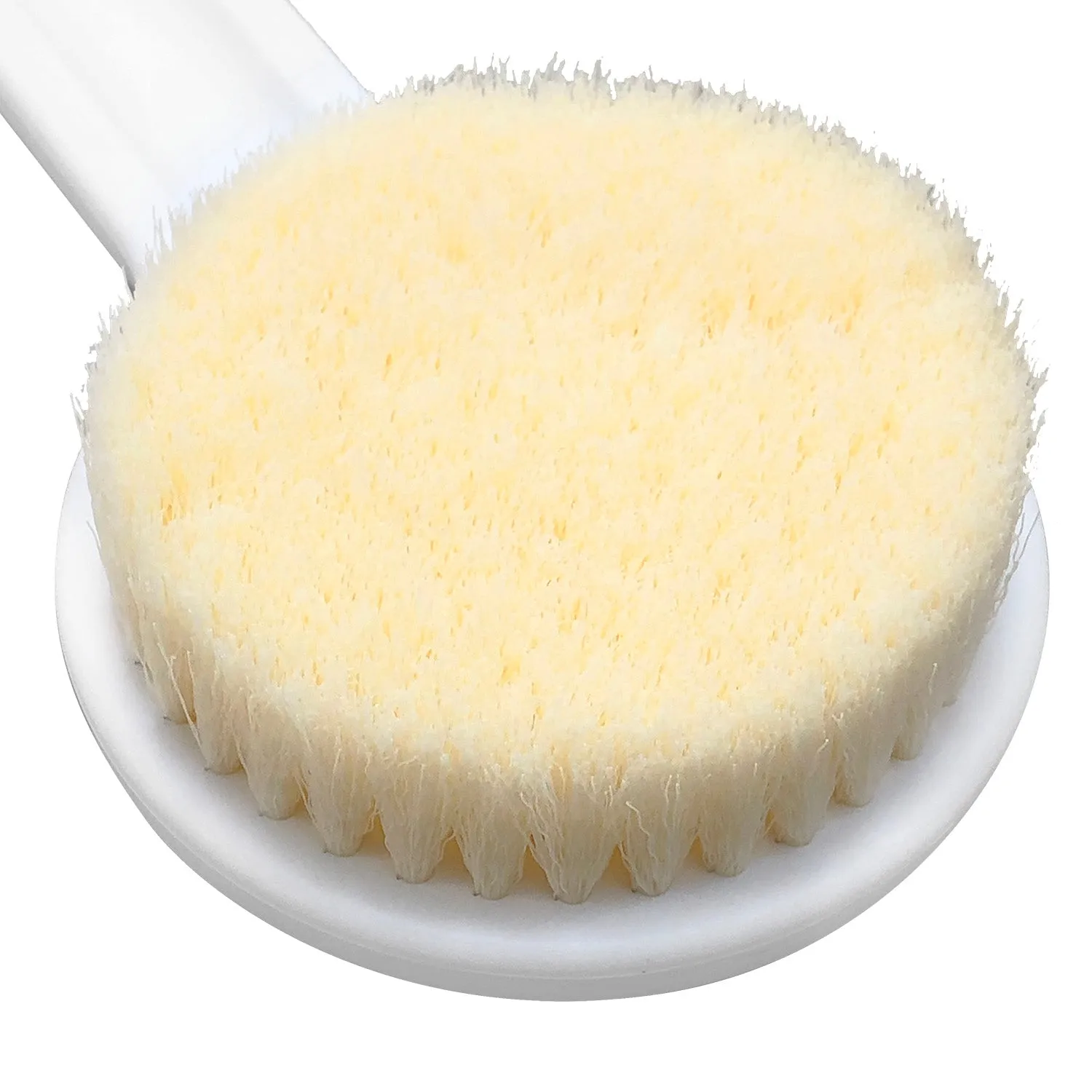 Bath Brush