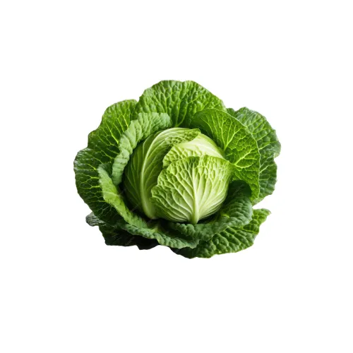 Cabbage