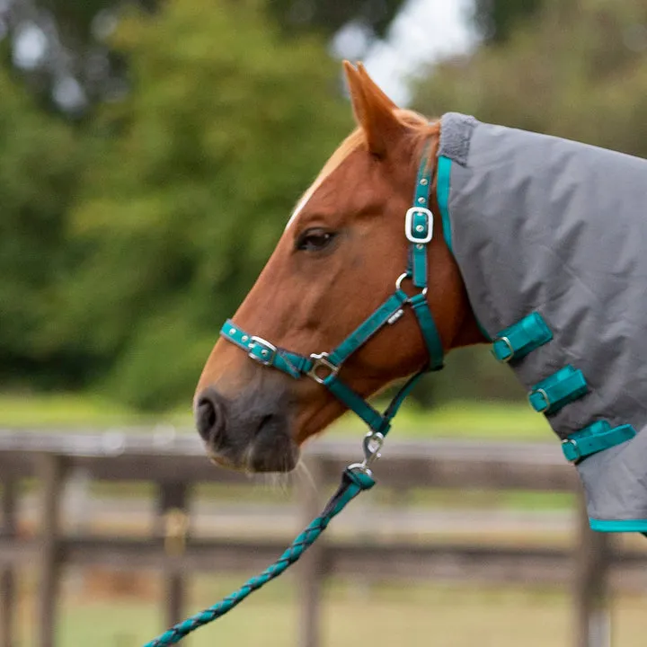 Eurohunter Comfort Halter and Lead
