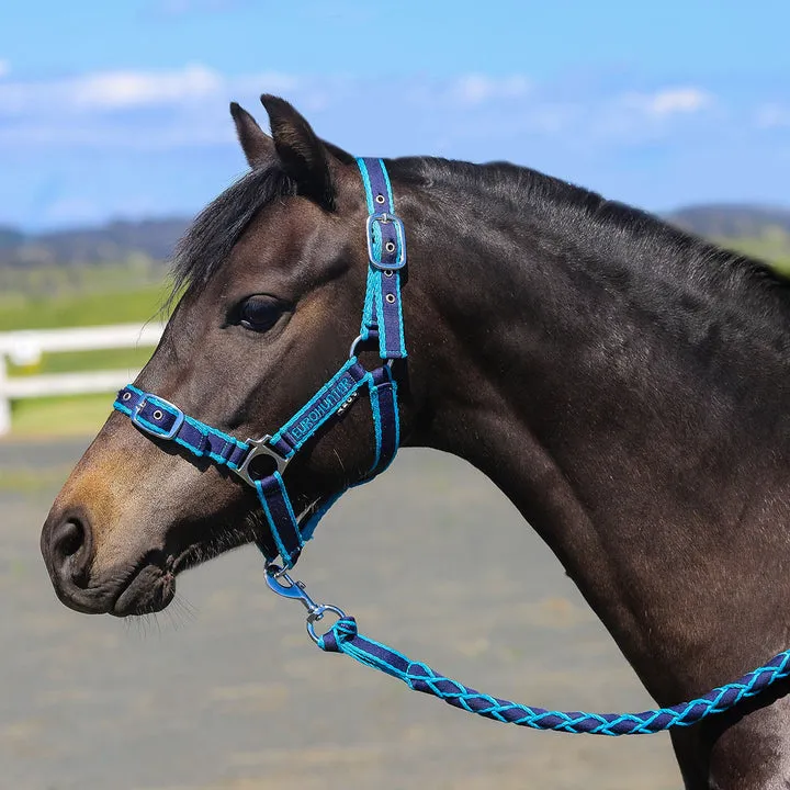Eurohunter Comfort Halter and Lead