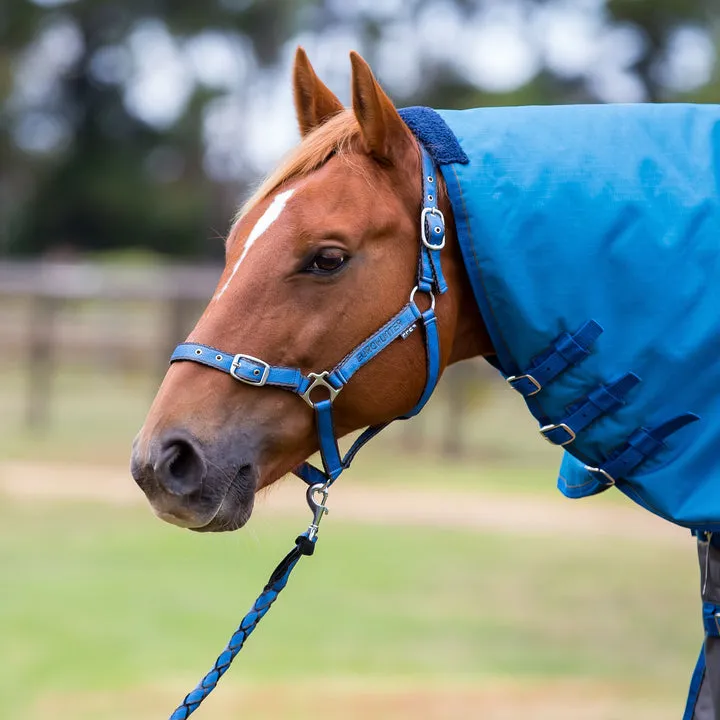 Eurohunter Comfort Halter and Lead