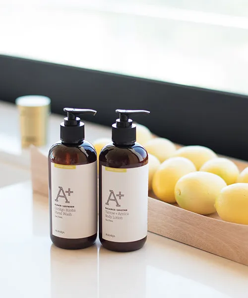 Ginkgo Biloba Hand Wash