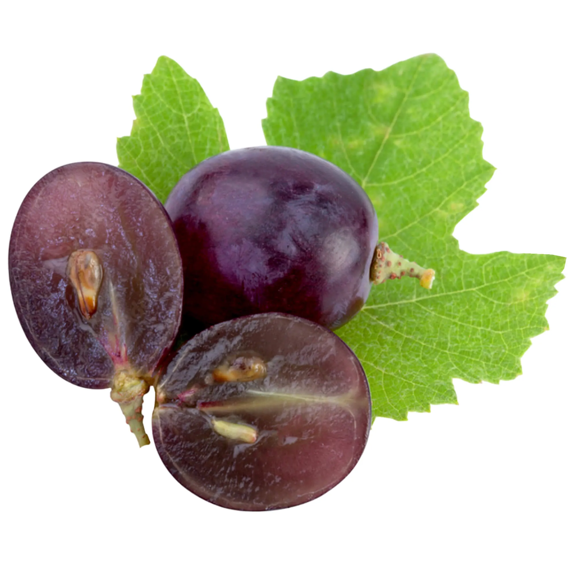 Grapeseed Oil