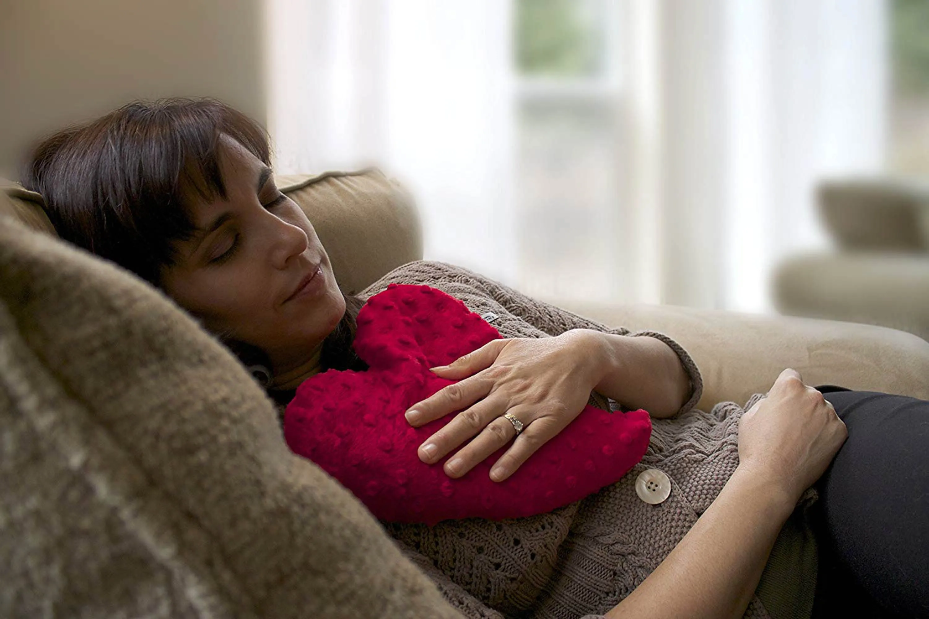 Hot/Cold - Small Heart Warmer Pillow - Red Minky