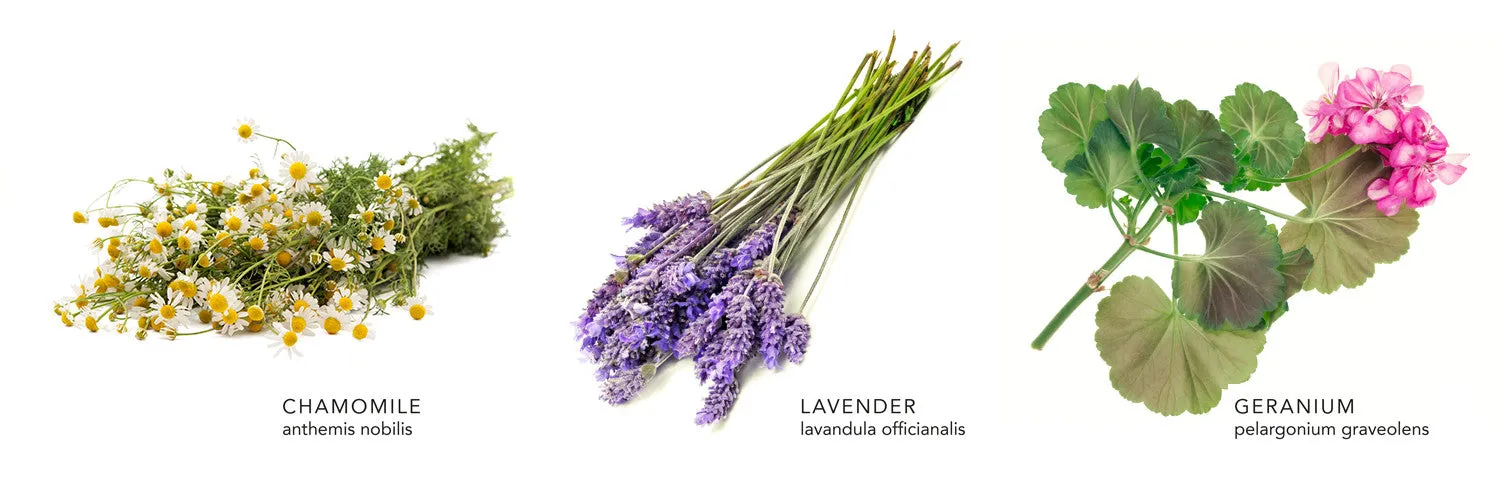 Lavender Chamomile Body Scrub