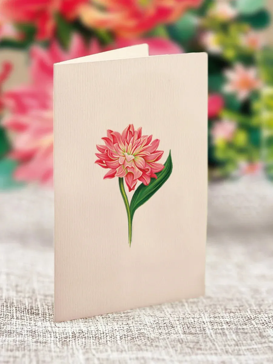NEW Mini Dear Dahlia