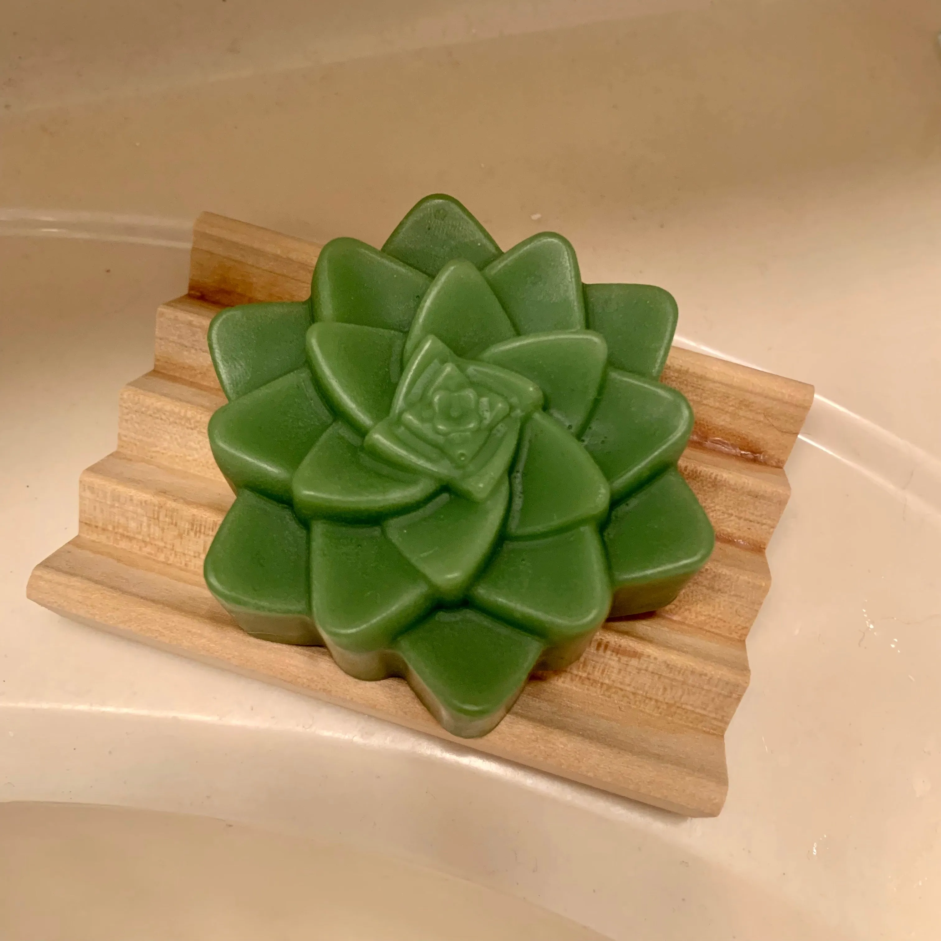 Succulent Shaped Aloe Soap