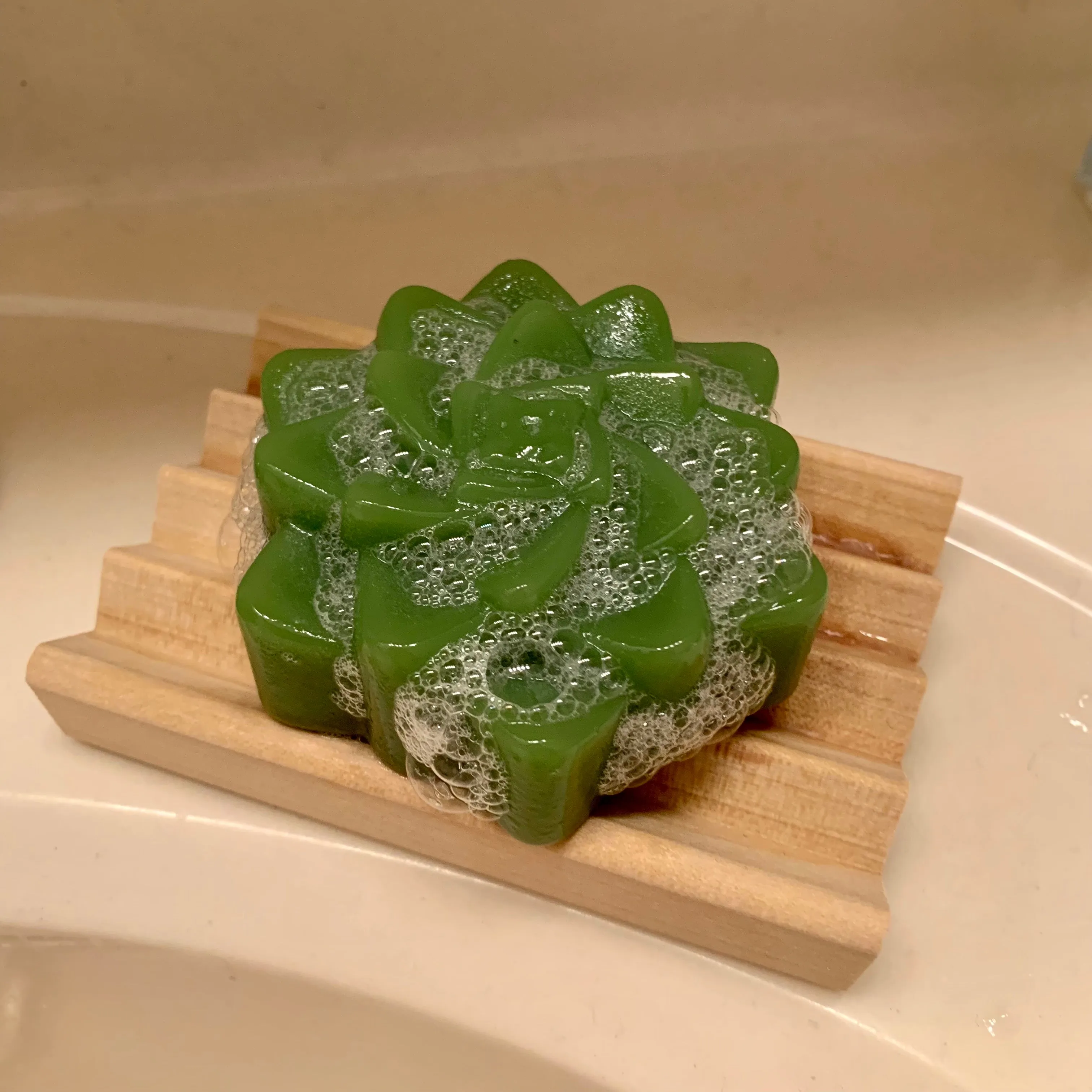 Succulent Shaped Aloe Soap